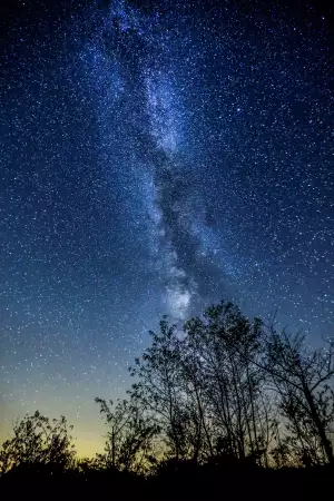 Toronto day trips | Star gazing in Torrance Barrens Muskoka