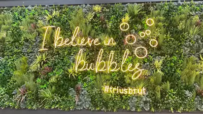The best wineries in Niagara-on-the-Lake | Trius Winery neon sign at the Sparkling House