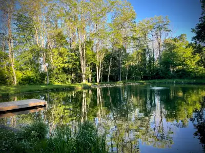 BTG Wellness Soulful Radiance Retreat | The pond at Ecology Retreat Centre
