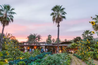 Los Cabos | A sunset outside Flora Farms, a 25-acre organic working farm in the foothills of the Sierra de la Laguna Mountains