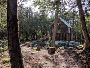 Ontario's coolest cabins to rent | Black Bird Cabin