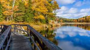 Ontario's best hikes | A boardwalk in Killarney National Park