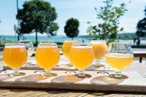 Finger Lakes, New York | A beer flight on the patio at Young Lion Brewing