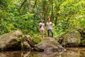 Wellness in St Kitts | A couple hike Mt. Liamuiga Crater Rim