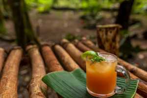 Liamuiga Natural Farms | An orange drink in a glass with a lime wedge at Liamuiga Natural Farms