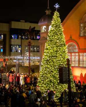 Ottawa Christmas Market Ottawa Christmas Market