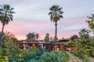 Los Cabos | A sunset outside Flora Farms, a 25-acre organic working farm in the foothills of the Sierra de la Laguna Mountains Los Cabos | A sunset outside Flora Farms, a 25-acre organic working farm in the foothills of the Sierra de la Laguna Mountains