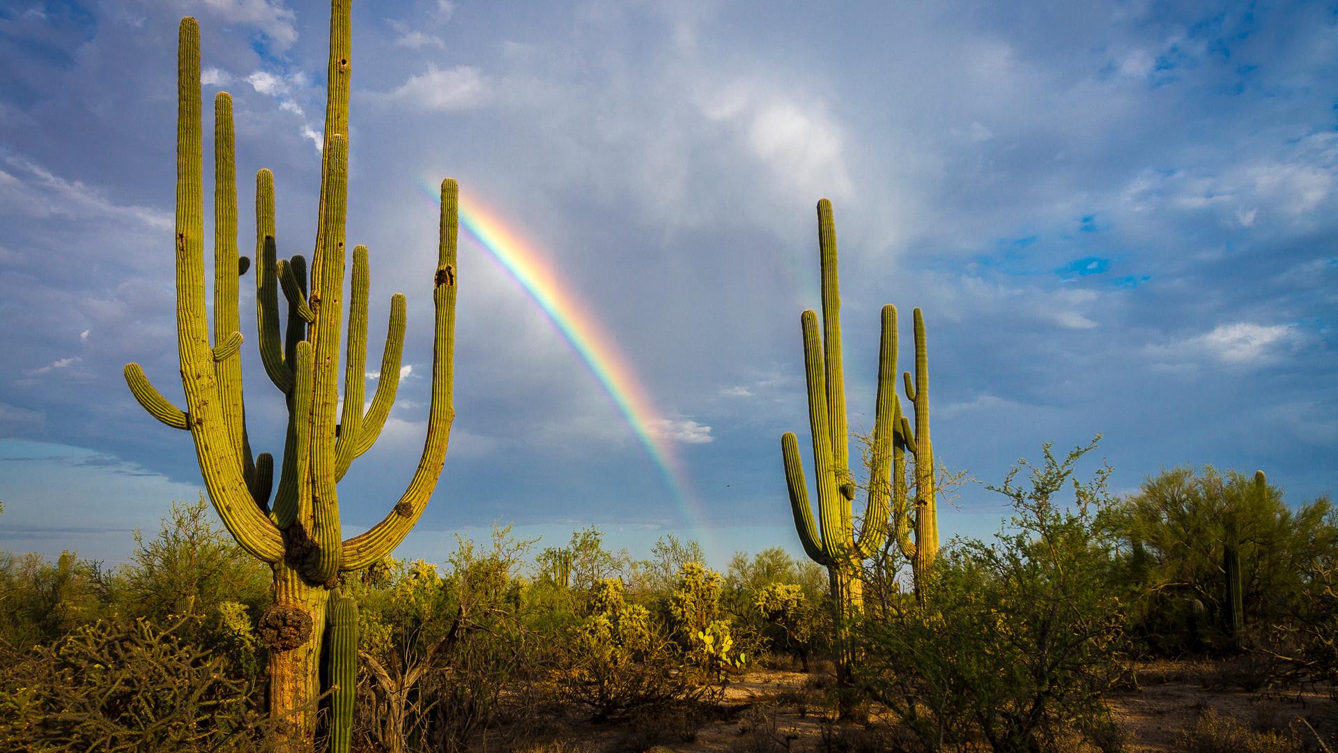 Tucson, Arizona Tucson, Arizona