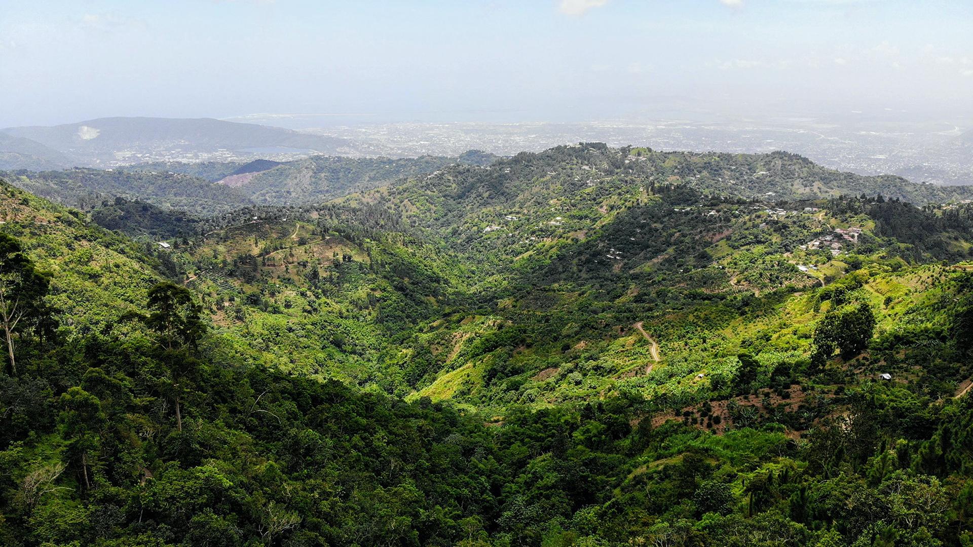 The Caribbean, Mexico and Central America reopen borders | Jamaica The Caribbean, Mexico and Central America reopen borders | Jamaica