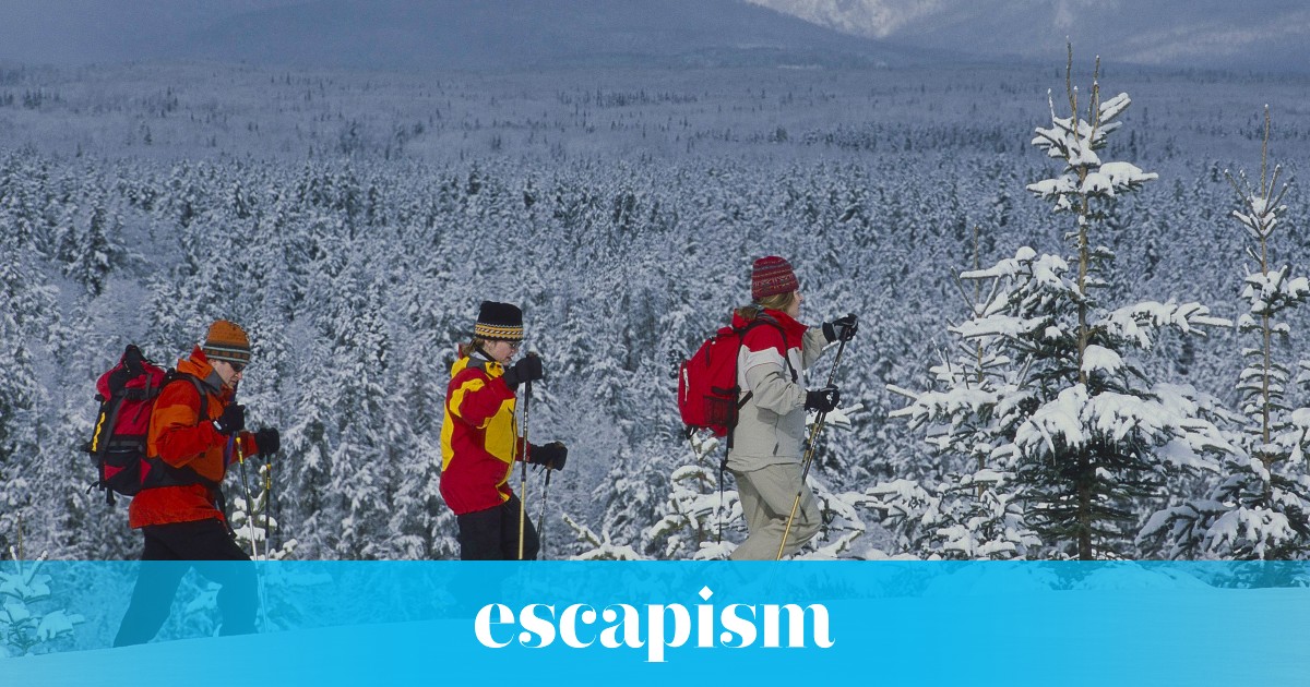 Snow Way Out Backcountry skiing in Quebec Escapism TO