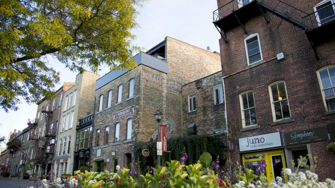 Winging It: Stratford, ON Winging It: Stratford, ON