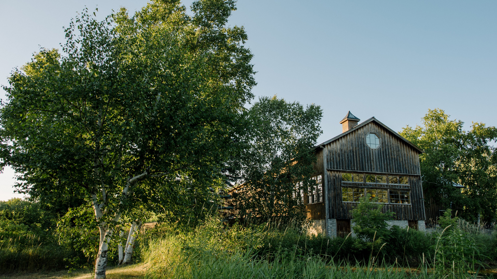 The best Prince Edward County wineries Escapism TO