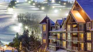 The best restaurants things to do in Collingwood | Blue Mountain Ski Resort