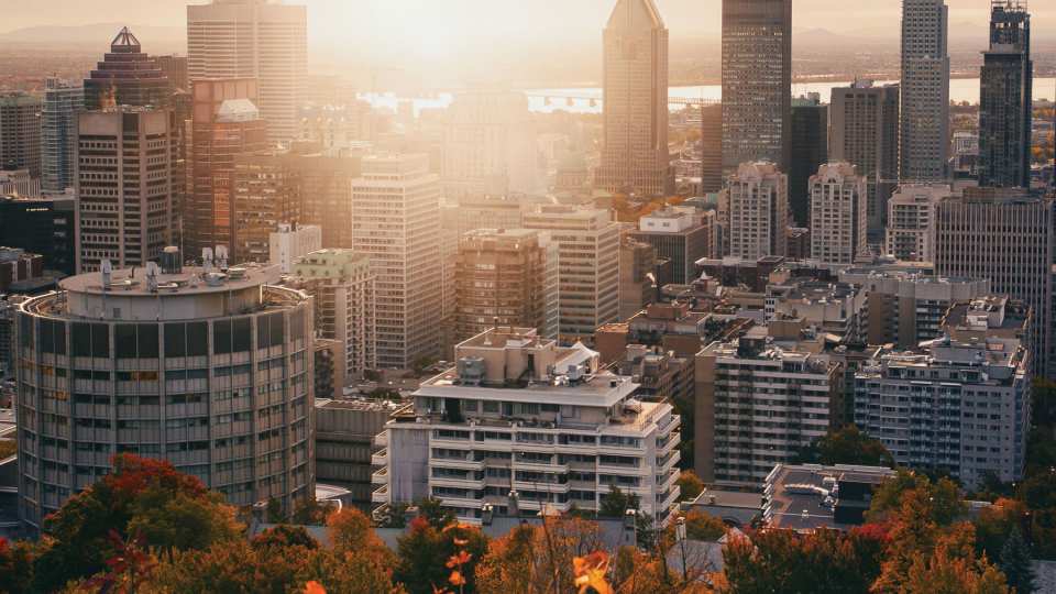 The best things to do and eat in Montreal | View from Mount Royal in the fall