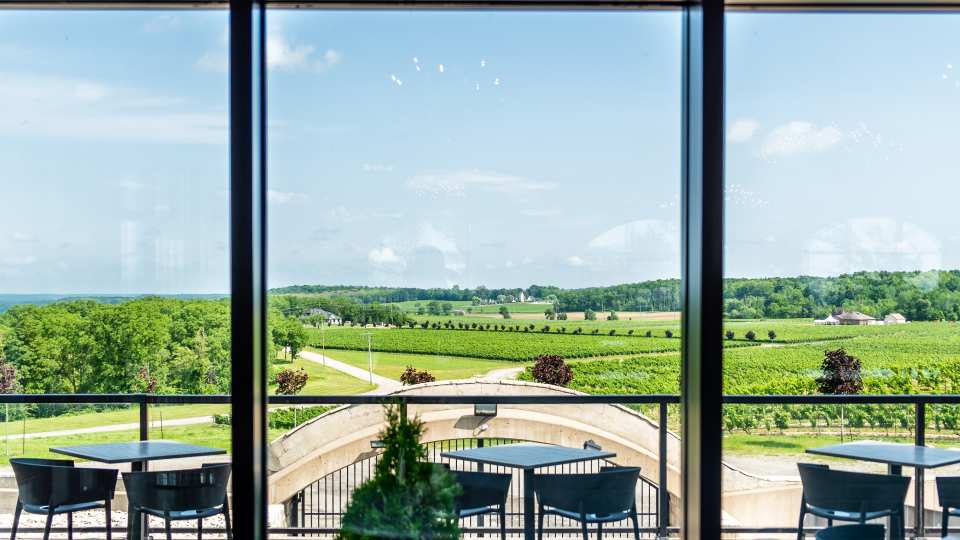 Megalomaniac Wines | The terrace at Megalomaniac winery in Niagara