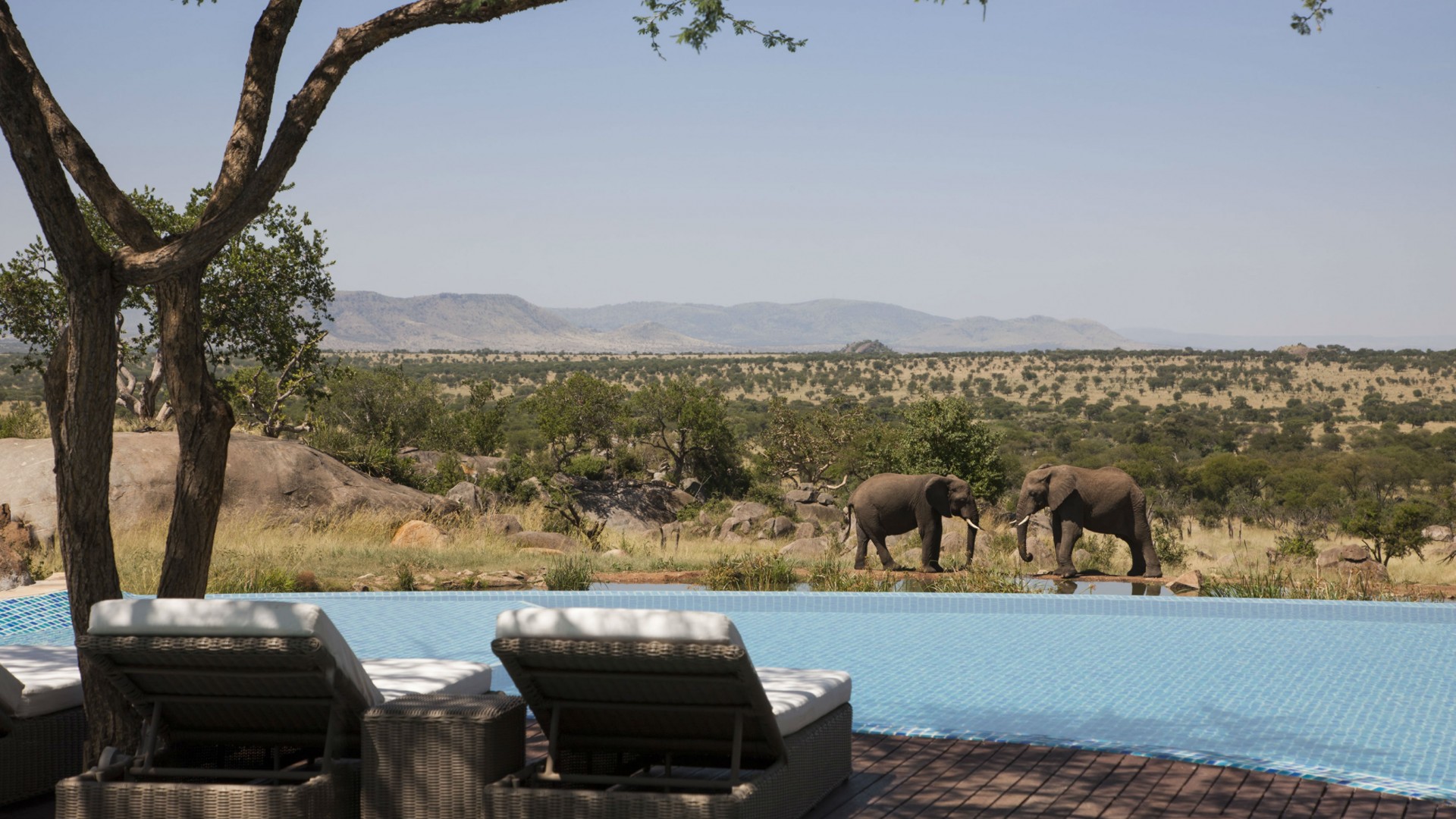 Four Seasons Serengeti, Tanzania Four Seasons Serengeti, Tanzania