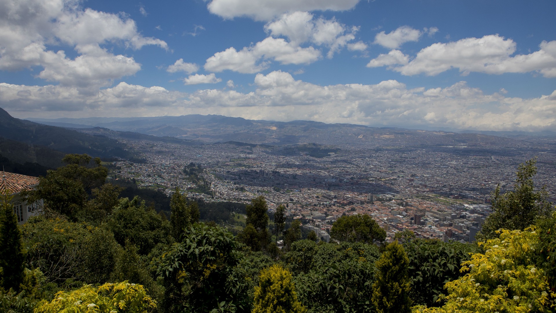 winging it: bogota, colombia