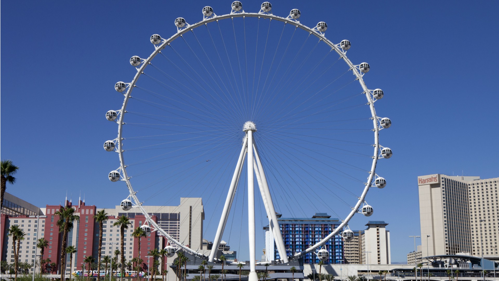 Winging It: Las Vegas, NV | Escapism TO