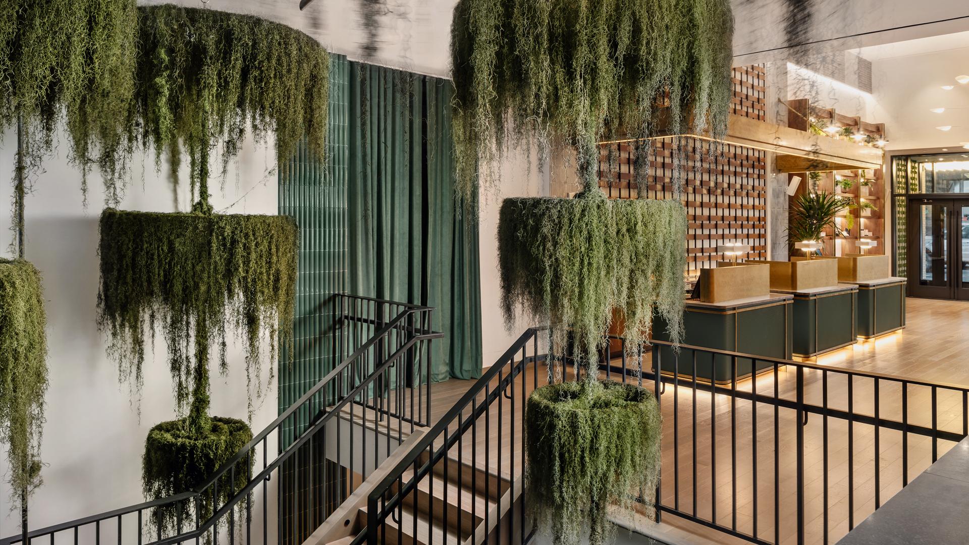 New York City | Greenery hangs above the lobby stairs at Arlo Midtown