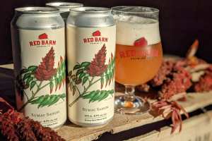Chatham-Kent, Ontario | Brews from Red Barn Brewing