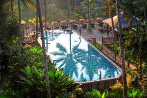 Best honeymoon destinations | The main pool at Capella Ubud, Bali