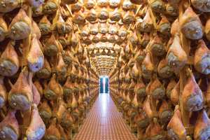 Rows of hanging Prosciutto di Parma in Parma, Italy Rows of hanging Prosciutto di Parma in Parma, Italy