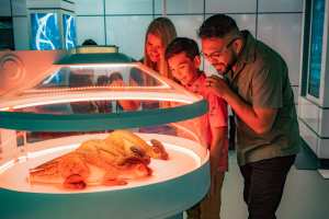 Things to do in Toronto | Baby dinosaurs at Jurassic World: The Exhibition