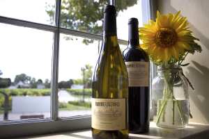 The best wineries in Niagara-on-the-Lake | Wine bottles at Ravine Vineyard Estate Winery