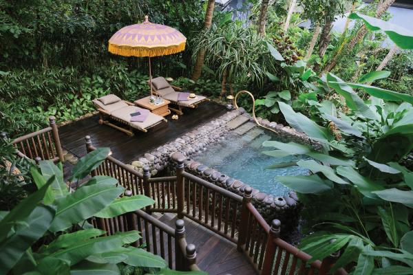 Best honeymoon destinations | A terrace pool at Capella Ubud, Bali
