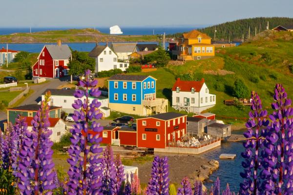 Trinity, Newfoundland | Artisan Inn