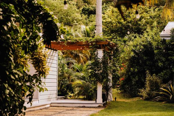 St. Thomas, U.S.V.I. | The lush greenery at The Hideaway at Hull Bay