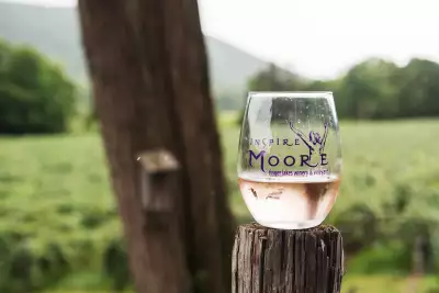 Finger Lakes, New York | A glass of ros&eacute; at Inspire Moore Winery