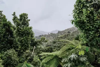 El Yunque, Puerto Rico