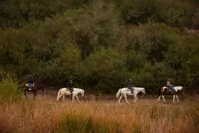 Horseback riding at Fairmont Grand Del Mar, San Diego