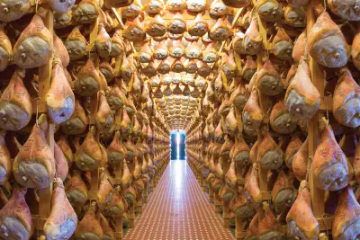 Rows of hanging Prosciutto di Parma in Parma, Italy