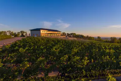 Megalomaniac Wines | Megalomaniac winery in Niagara