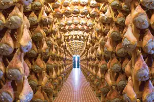 Rows of hanging Prosciutto di Parma in Parma, Italy