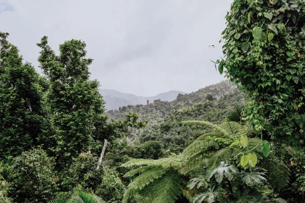 El Yunque, Puerto Rico El Yunque, Puerto Rico