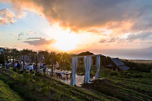 The Farm Table experience at Belle Mont Farm in St. Kitts The Farm Table experience at Belle Mont Farm in St. Kitts