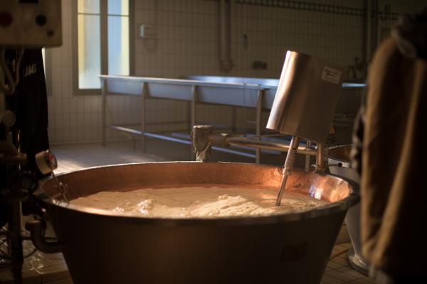 The vat where Parmigiano Reggiano is made in Parma, Italy The vat where Parmigiano Reggiano is made in Parma, Italy