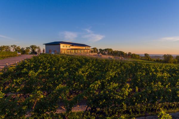 Megalomaniac Wines | Megalomaniac winery in Niagara