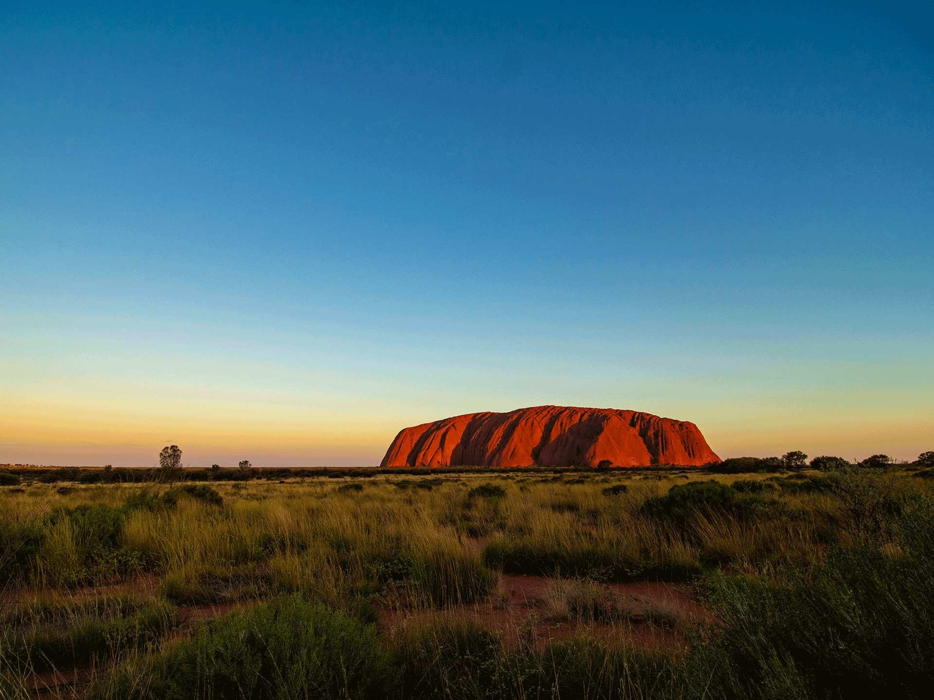 Indigenous experiences in Australia | Uluru at night