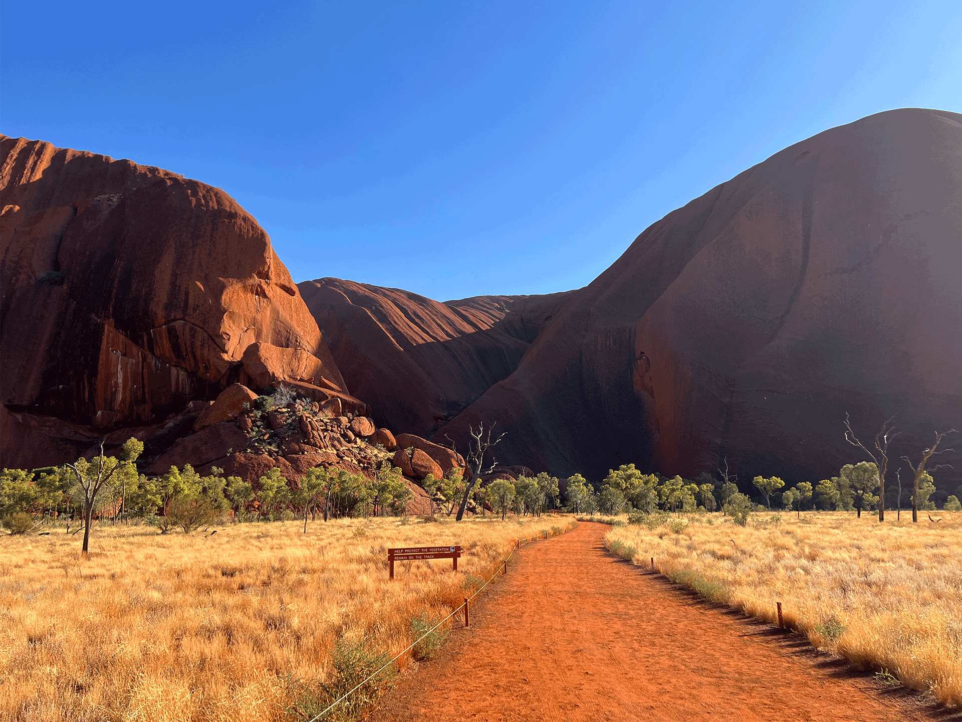 Indigenous experiences in Australia | Exploring Uluṟu-Kata Tjuṯa National Park