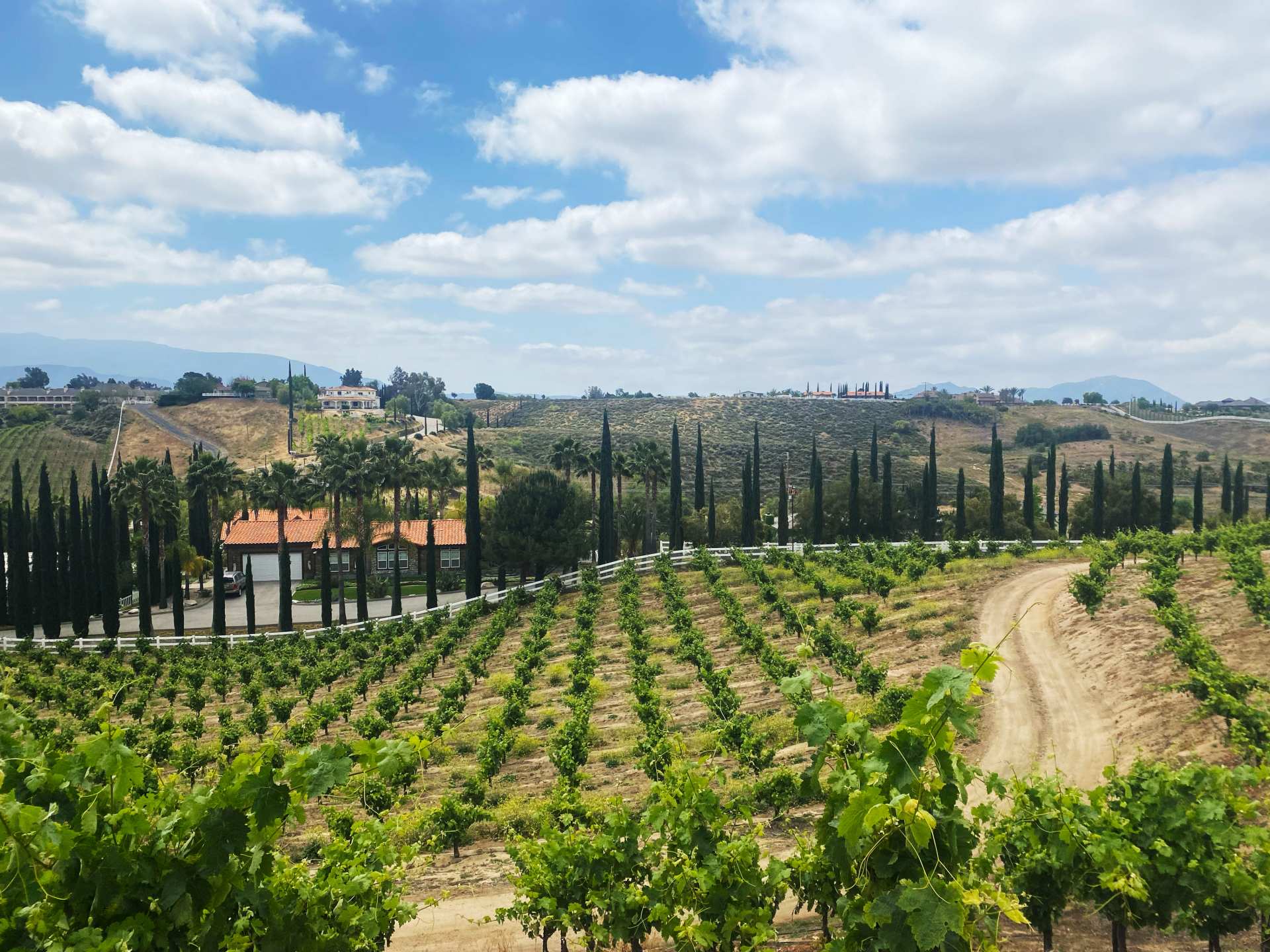 The rolling hills in Temecula, California The rolling hills in Temecula, California