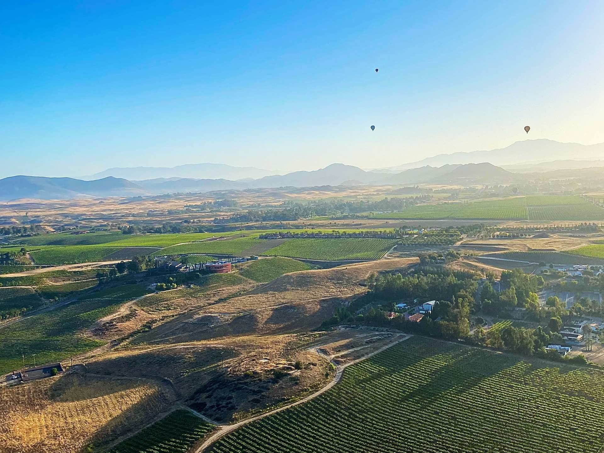 The view from a hot air balloon in Temecula