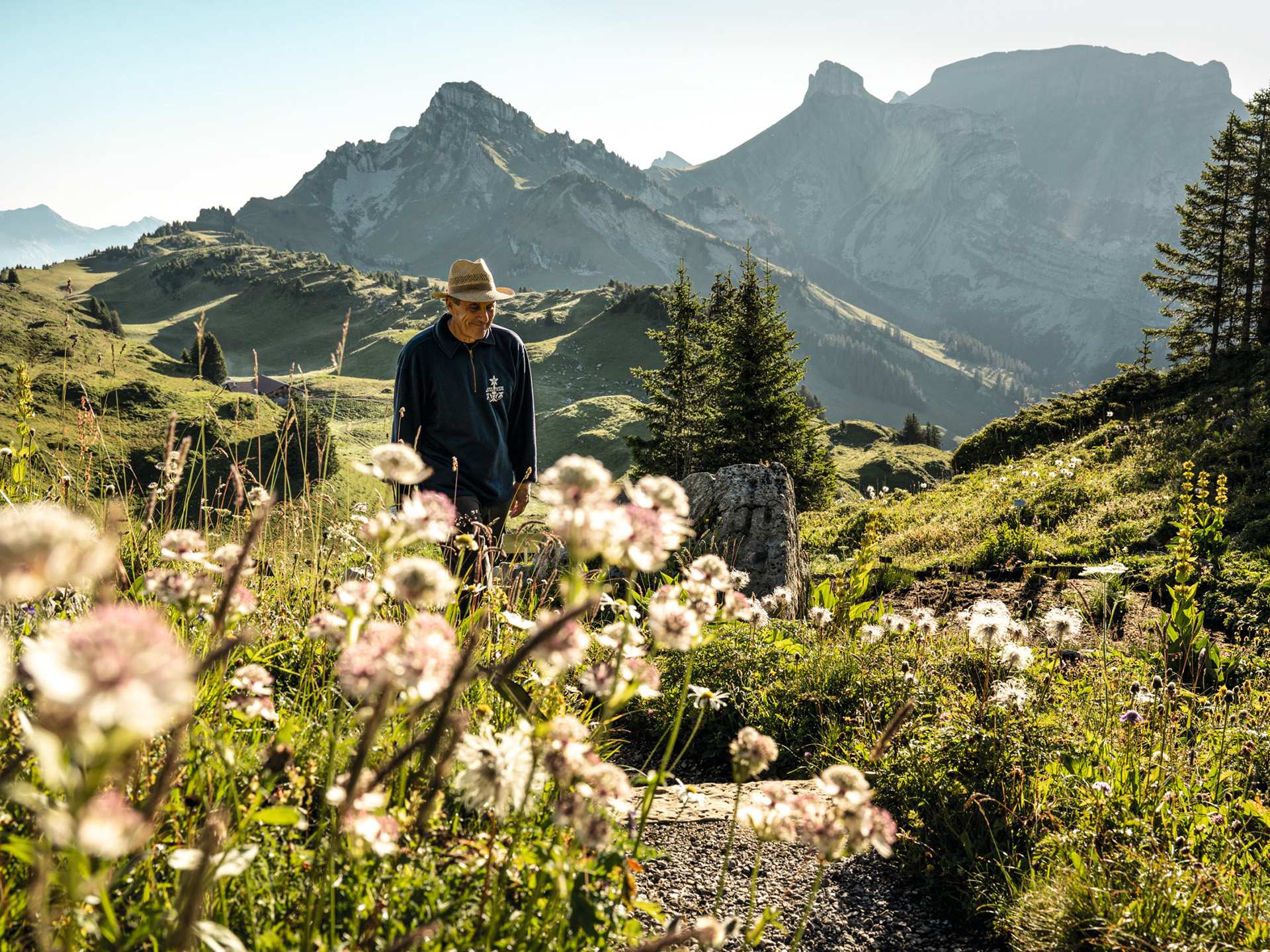 Switzerland Swiss Travel Pass | Man walking through an herb garden at Schynige Platte