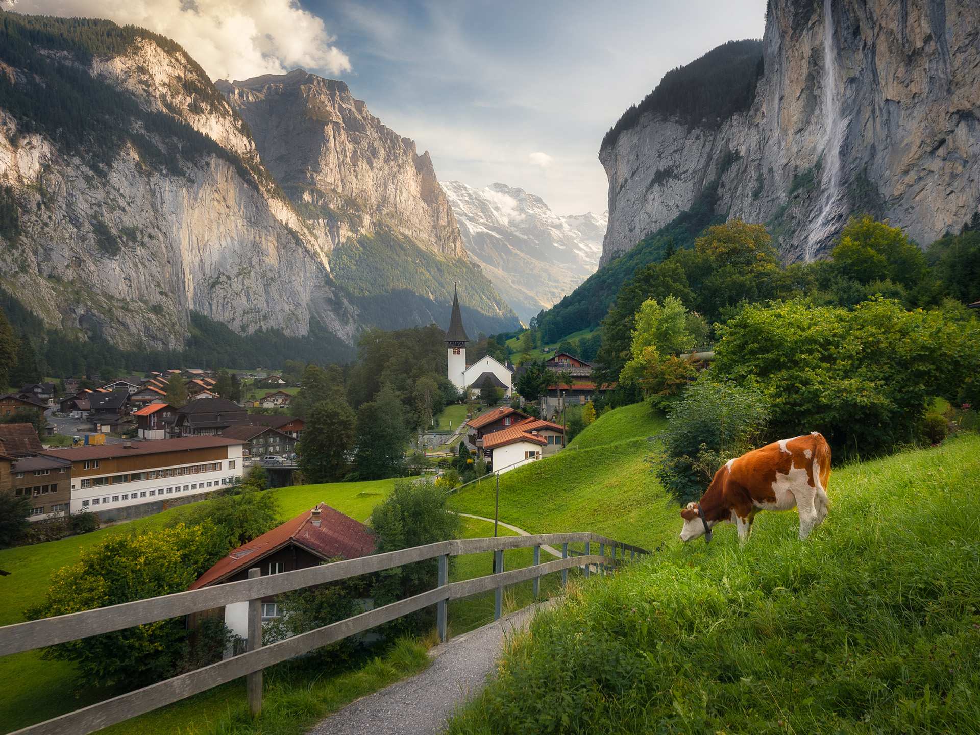 Switzerland Swiss Travel Pass | Cow in a field in Lauterbrunnen village