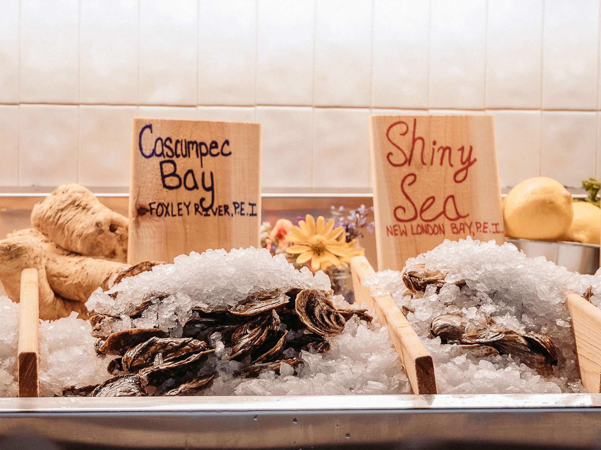 The best restaurants things to do in Collingwood | Oysters at Penny's Motel