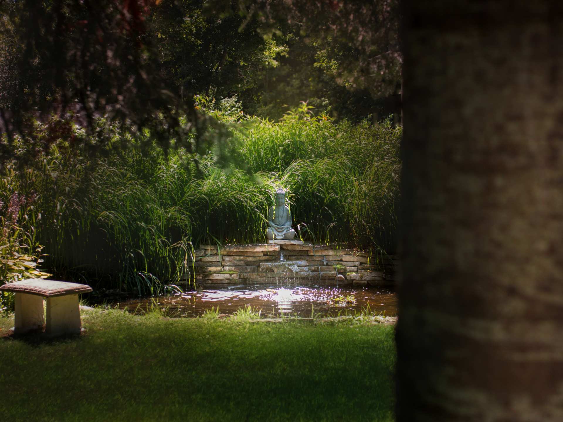 Ontario wellness retreats | A Buddha statue and waterfall at Pure Lotus wellness retreat in Ontario
