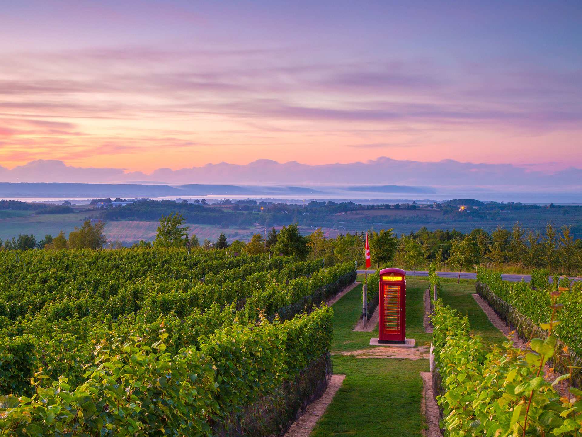 The best things to do in Nova Scotia | Annapolis Valley wine region